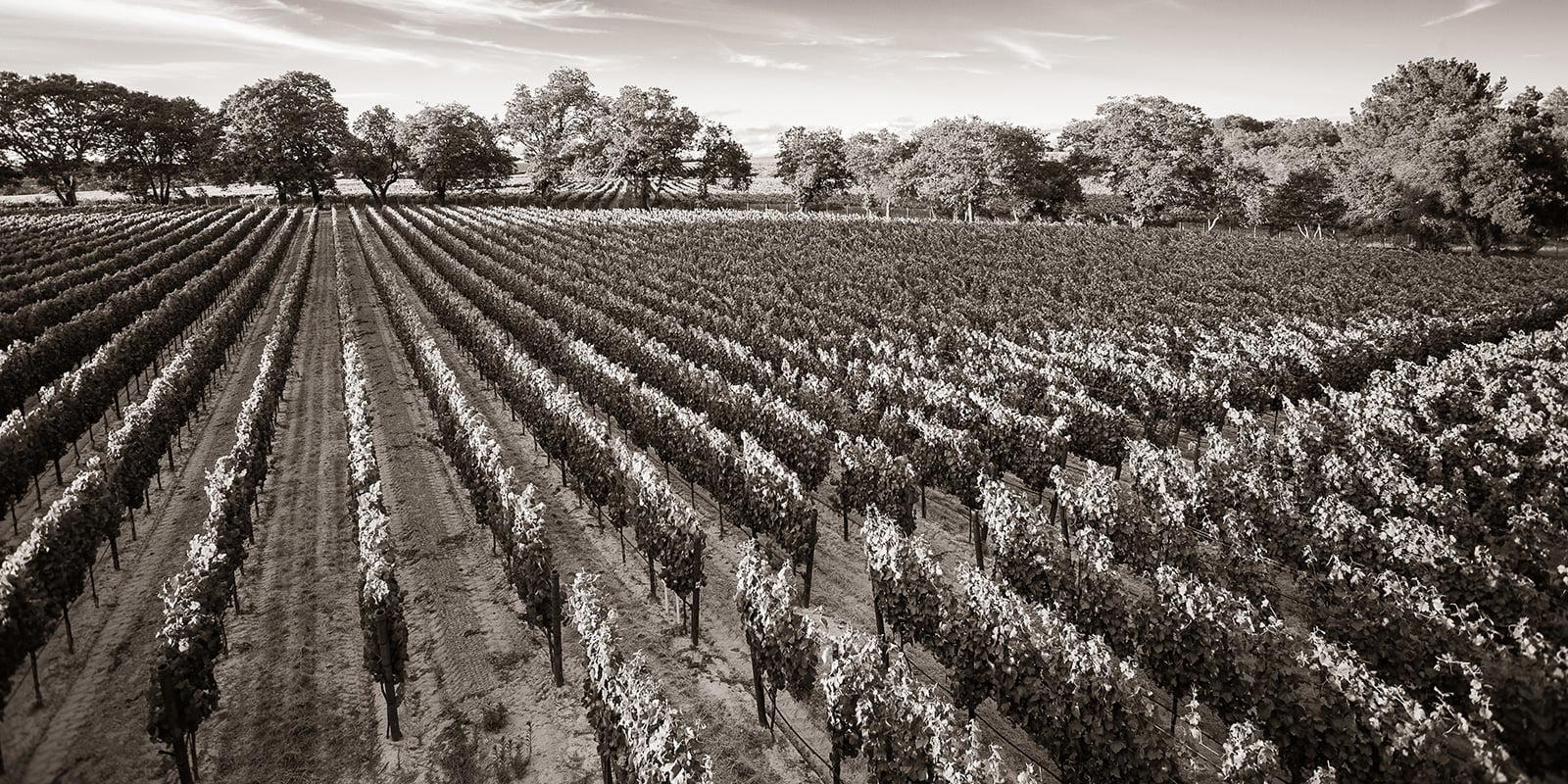 Aubert Wines, Calistoga, United States