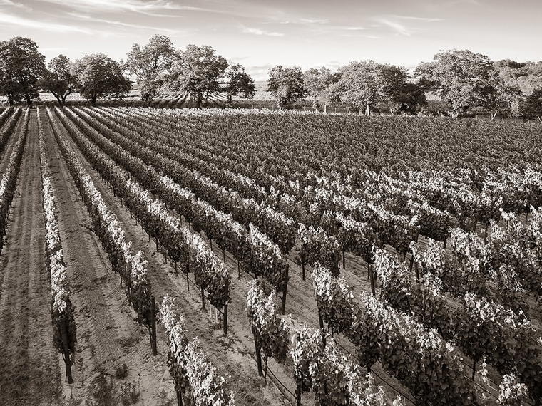Aubert Wines, Calistoga, United States