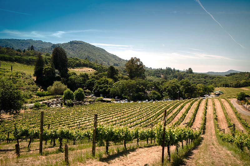 Aubert Wines winery in Calistoga, United States