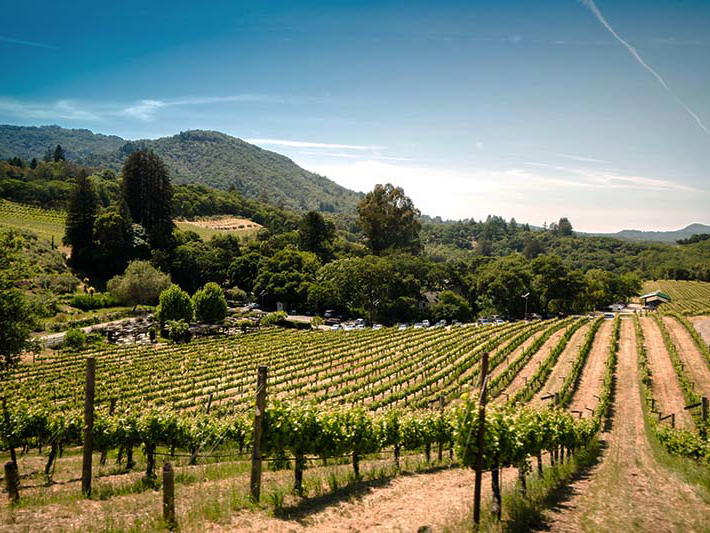 Aubert Wines, Calistoga, United States