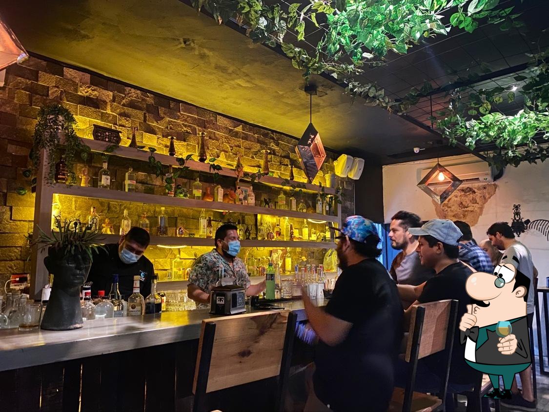 Murciegalo bar in Merida, Mexico