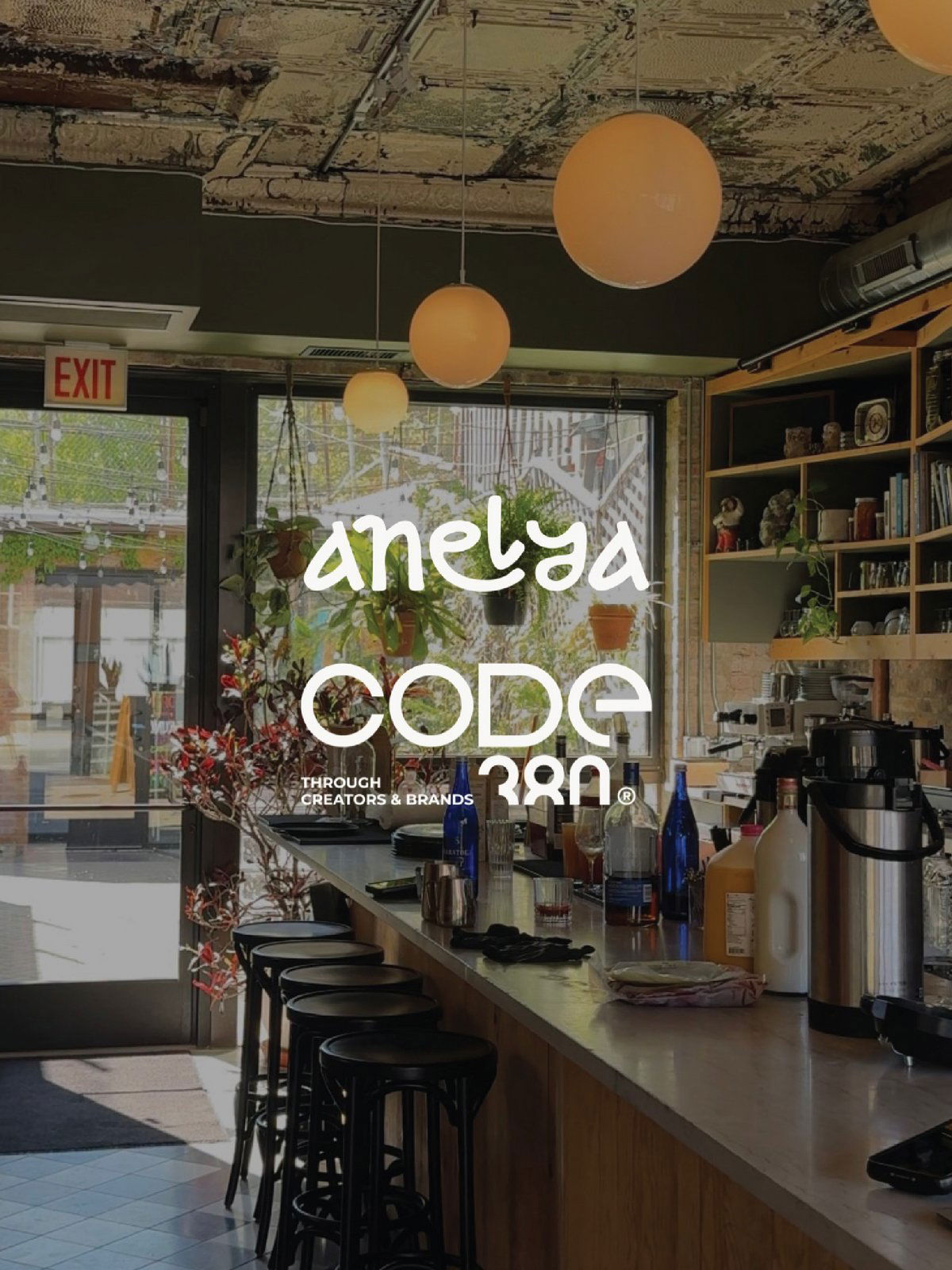 Anelya restaurant in Chicago, United States