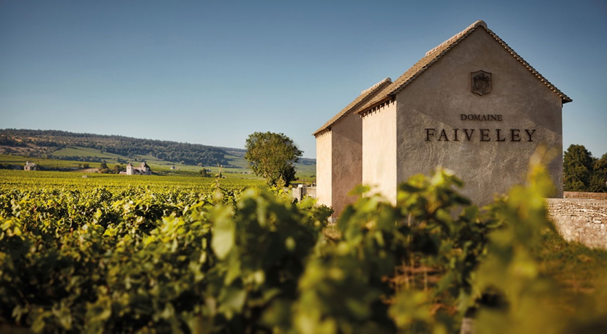 Domaine Faiveley, Winery in Nuits-Saint-Georges