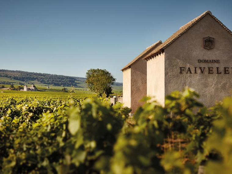 Domaine Faiveley, Nuits-Saint-Georges, France