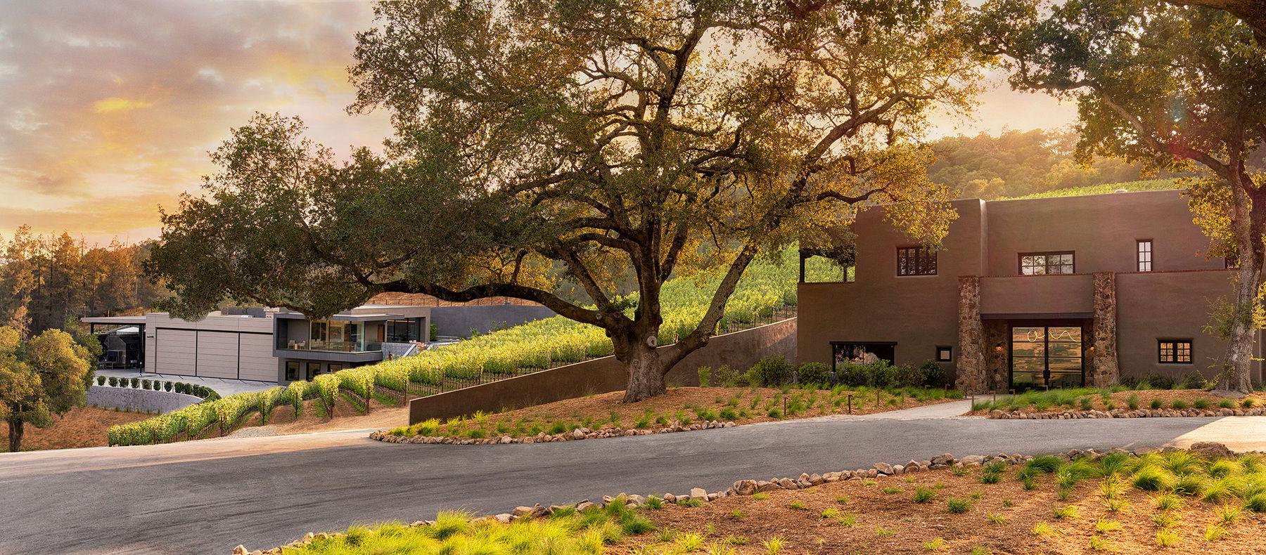 Realm Cellars, Winery in Napa