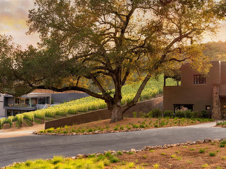 Realm Cellars, Napa, United States