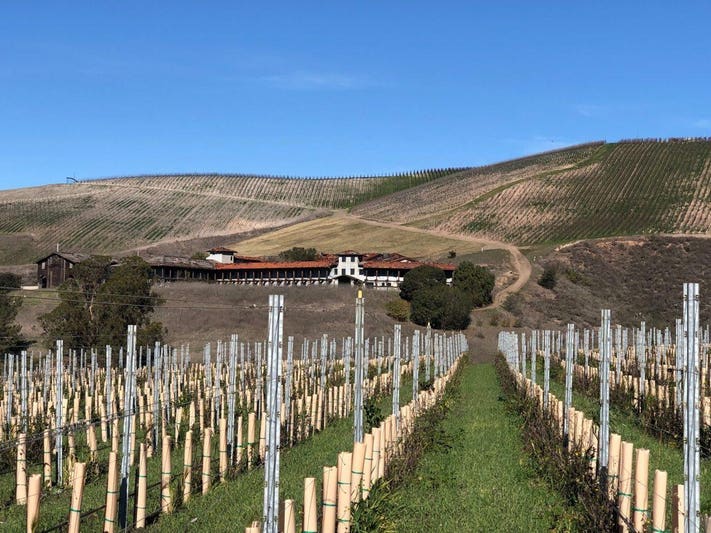 Dragonette Cellars winery in Los Olivos, United States