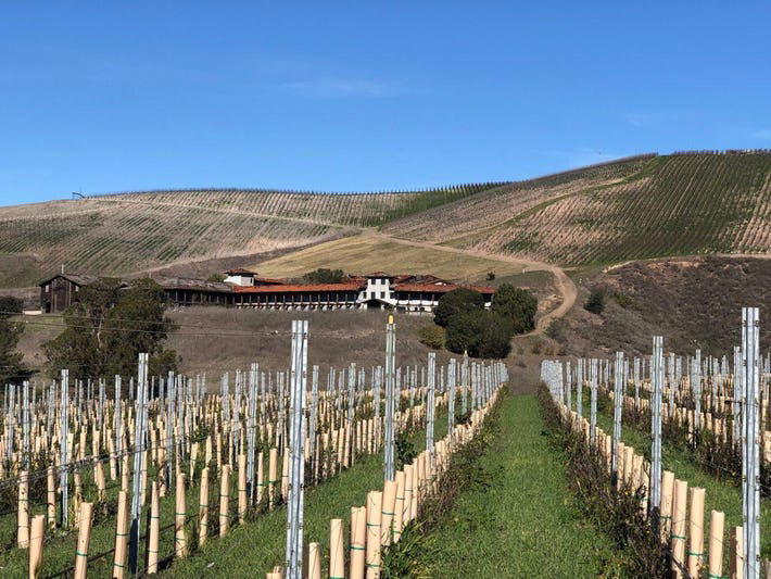 Dragonette Cellars, Los Olivos, United States
