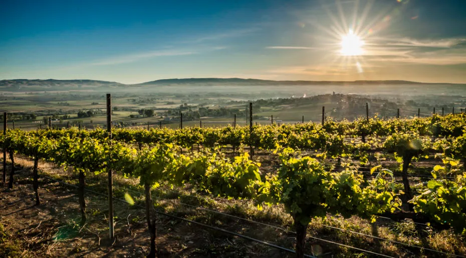 Delille Cellars winery in Woodinville, United States