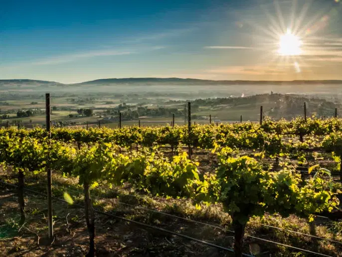 Delille Cellars, Woodinville, United States