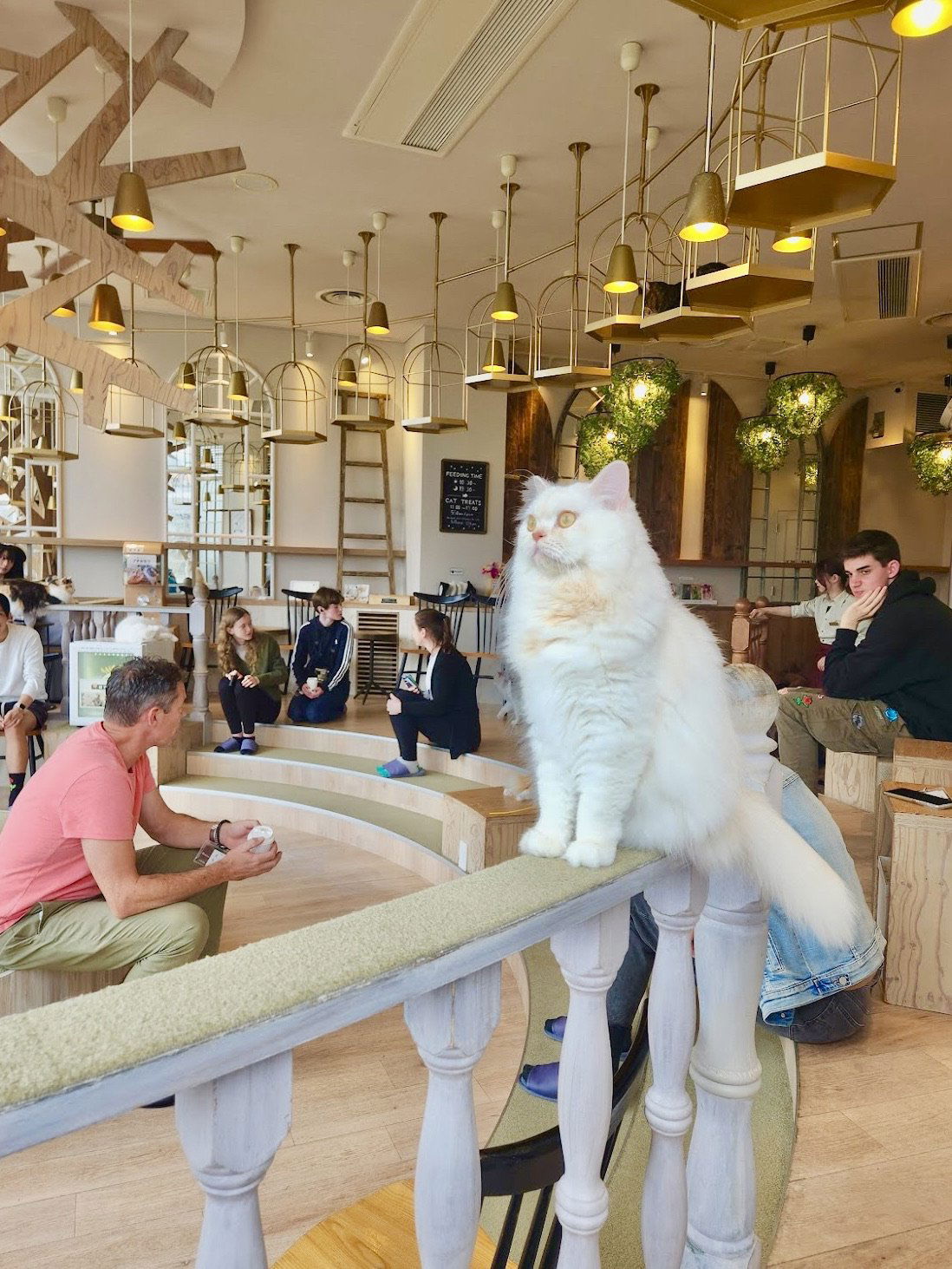 Katsusen restaurant in Tokyo, Japan