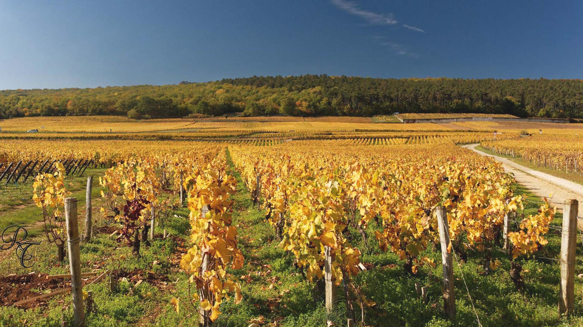 Domaine Rossignol-Trapet winery in Gevrey-Chambertin, France