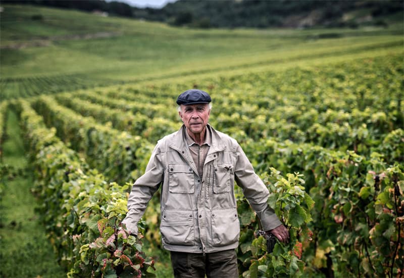 Domaine Henri Jayer, Winery in Burgundy