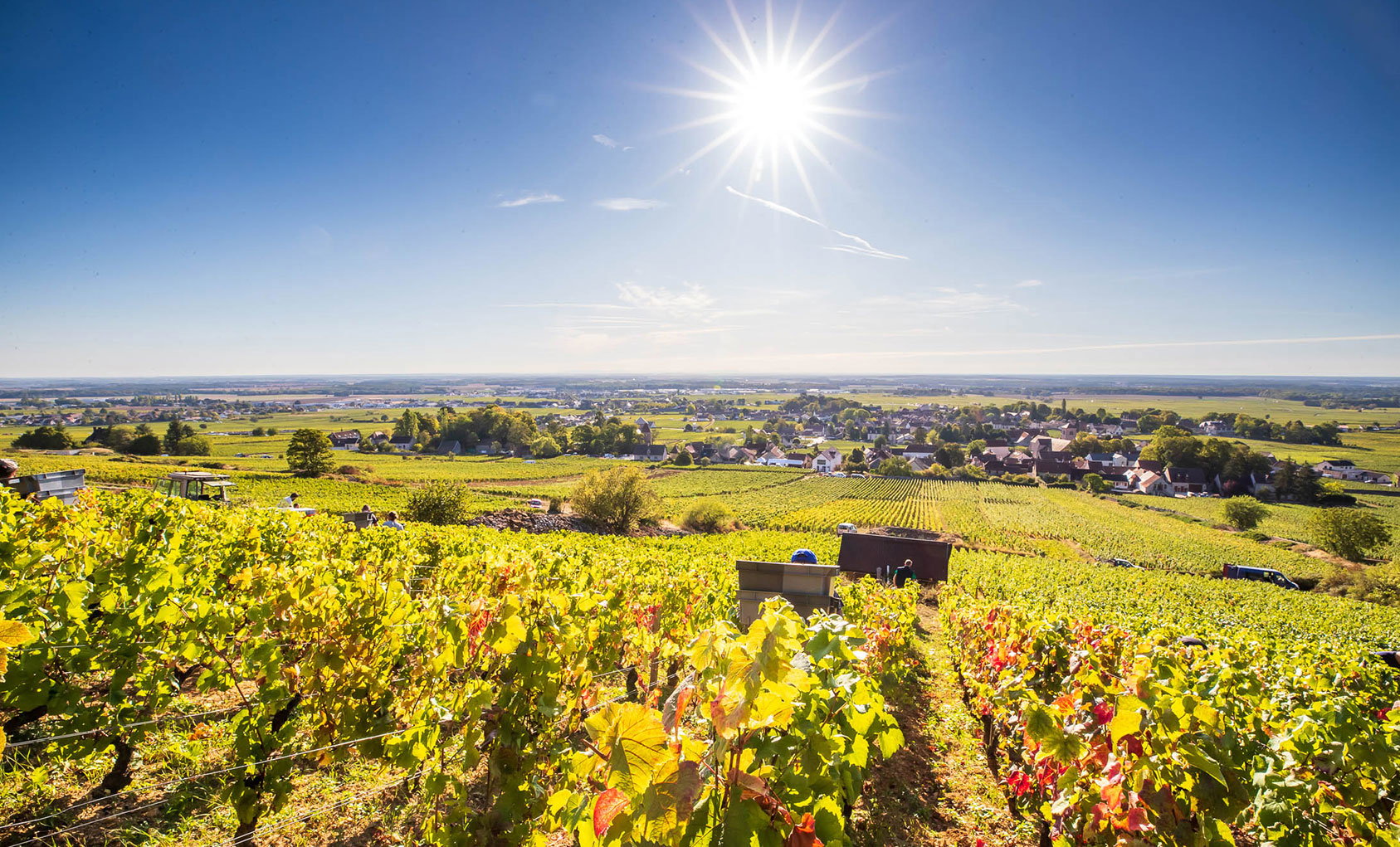 Domaine Bruno Clair