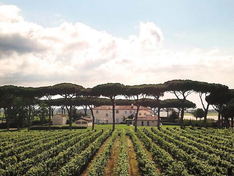 Tenuta Guado al Tasso, Bolgheri, Italy