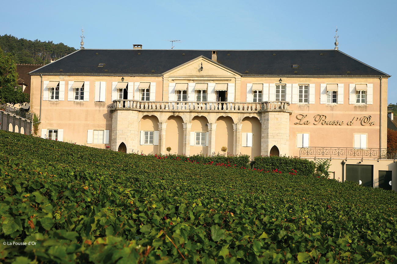 Domaine de la Pousse d'Or, Volnay, France