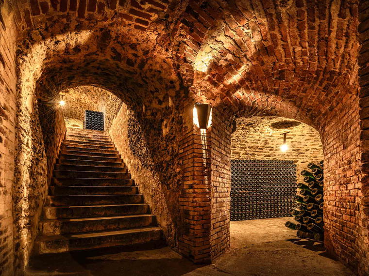 Champagne Salon, Le Mesnil-sur-Oger, France