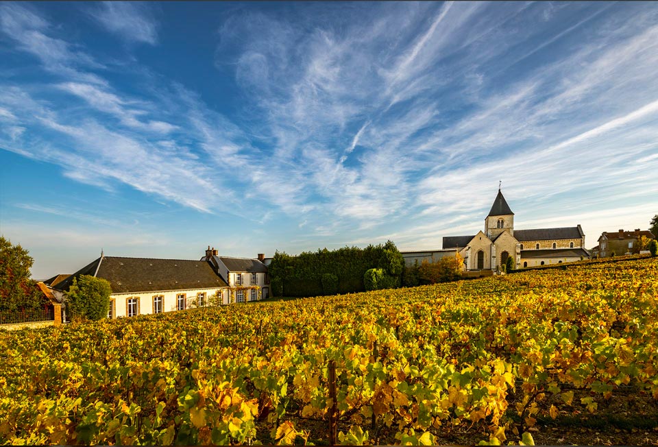 Champagne Salon winery in Le Mesnil-sur-Oger, France