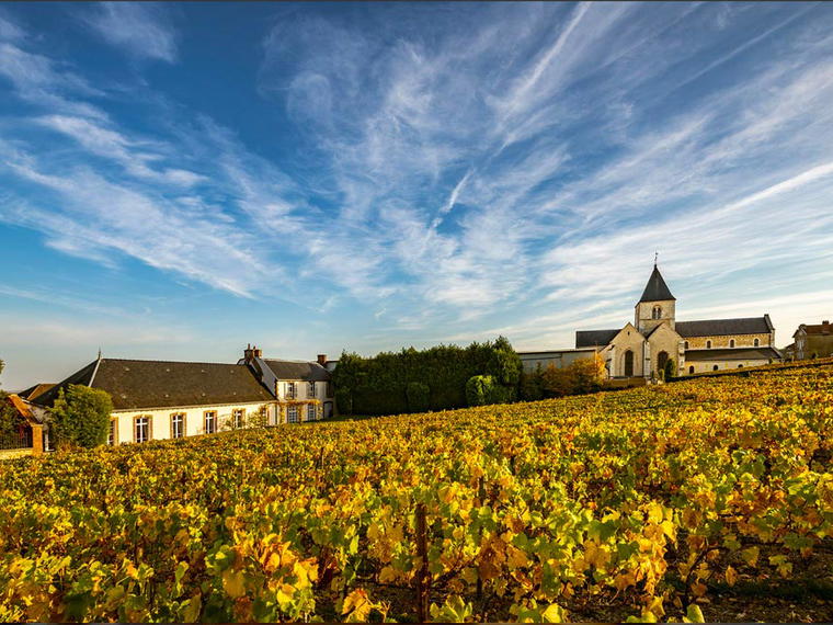 Champagne Salon, Le Mesnil-sur-Oger, France