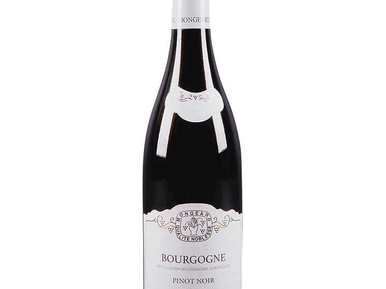 Domaine Mongeard-Mugneret, Vosne-Romanée, France