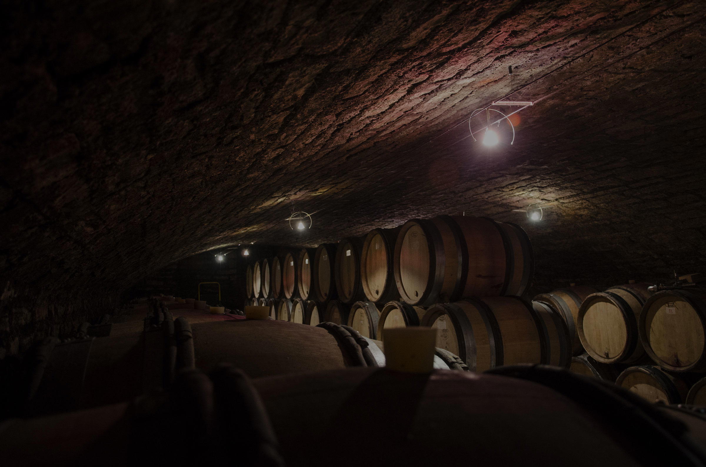 Domaine Hubert Lignier winery in Morey-Saint-Denis