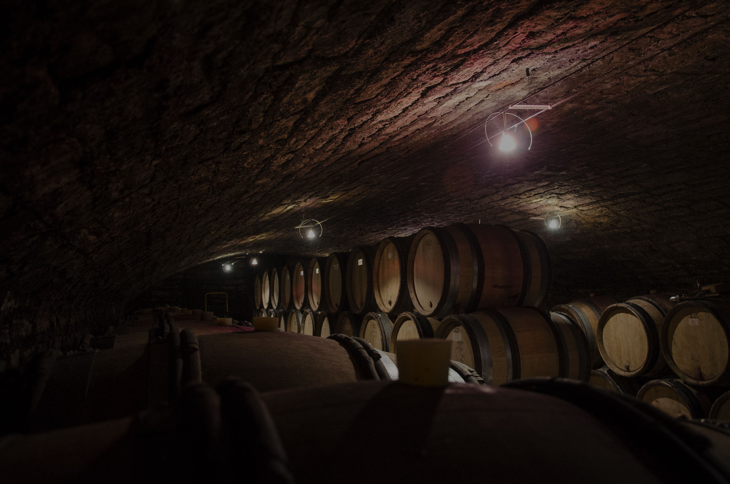 Domaine Hubert Lignier