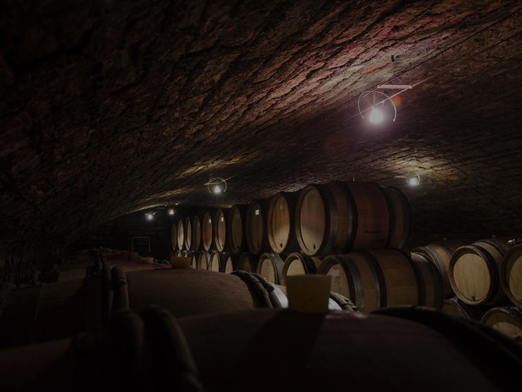 Domaine Hubert Lignier, Morey-Saint-Denis, France