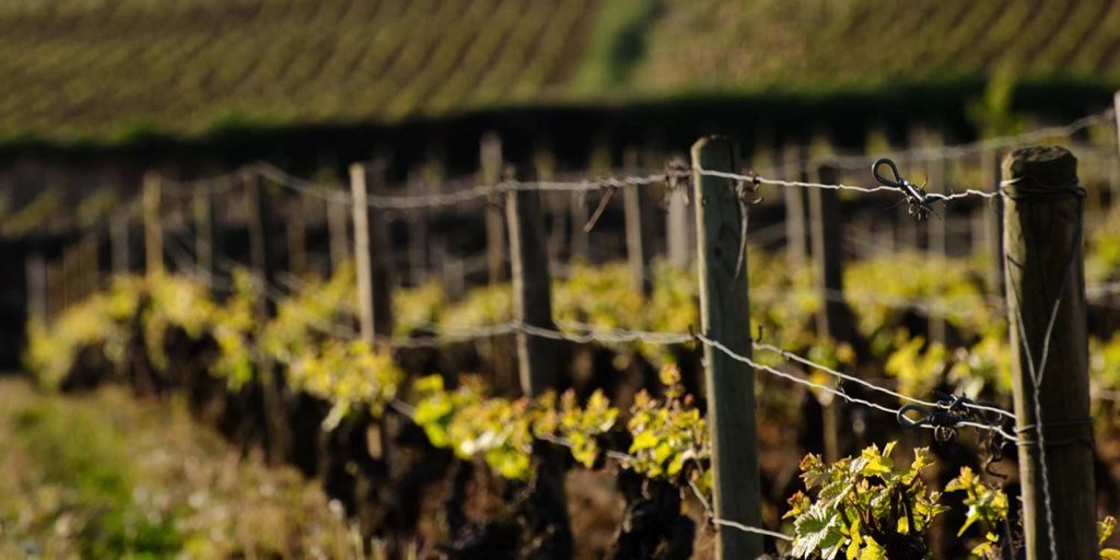 Domaine Hubert Lignier winery in Morey-Saint-Denis, France