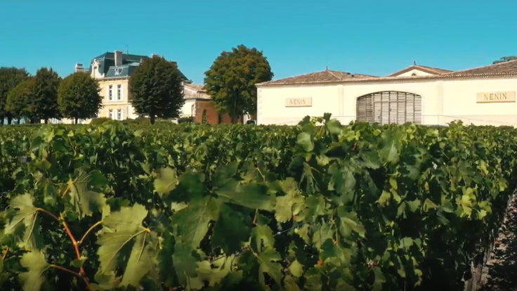 Château Nénin winery in Libourne