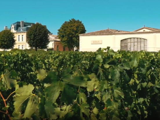 Château Nénin, Libourne, France