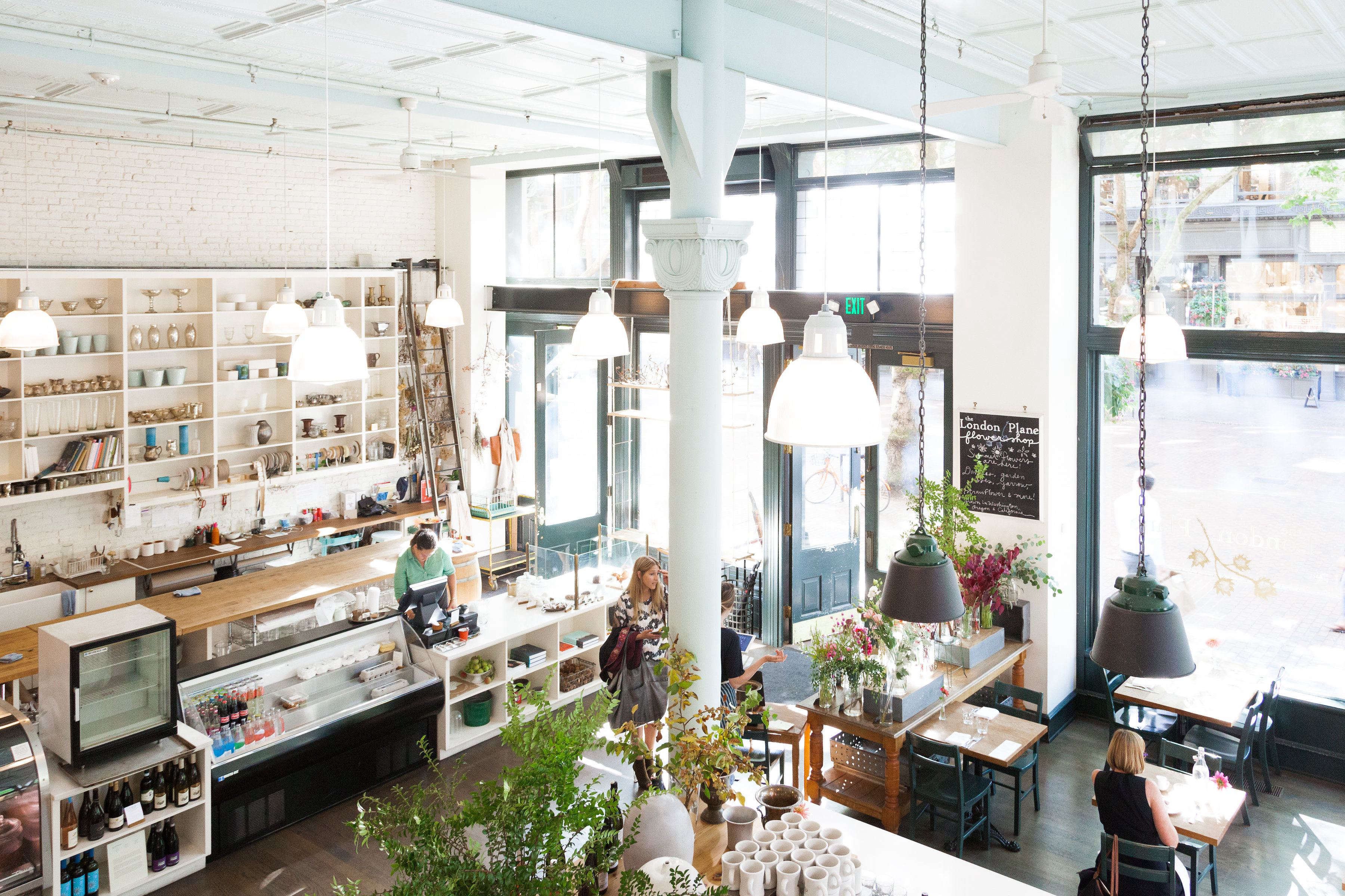 London Plane, Seattle, United States
