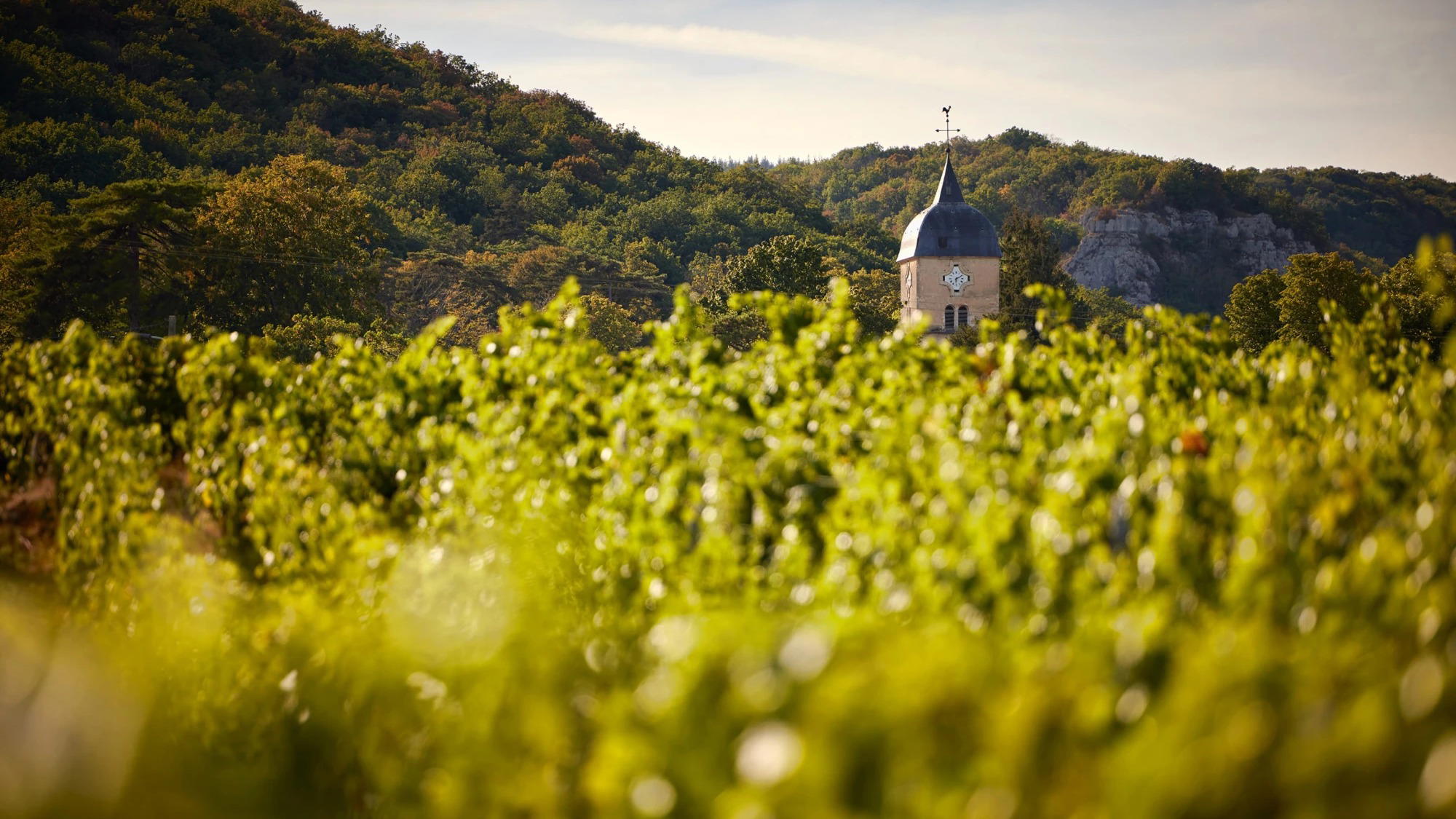 Domaine Georges Roumier winery in Chambolle-Musigny