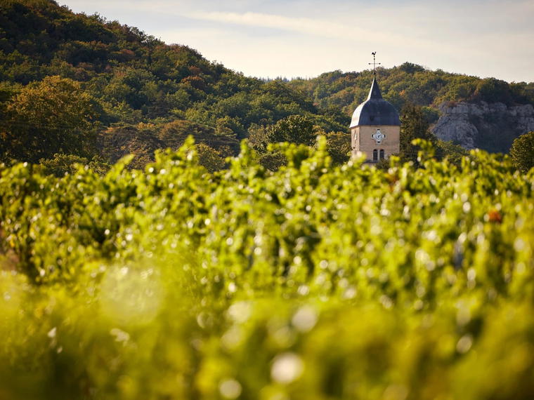 Domaine Georges Roumier, Chambolle-Musigny, France
