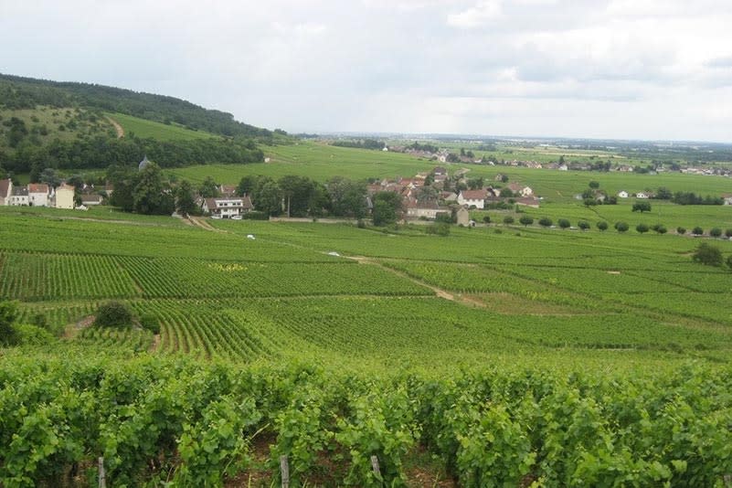 Domaine Georges Roumier winery in Chambolle-Musigny, France