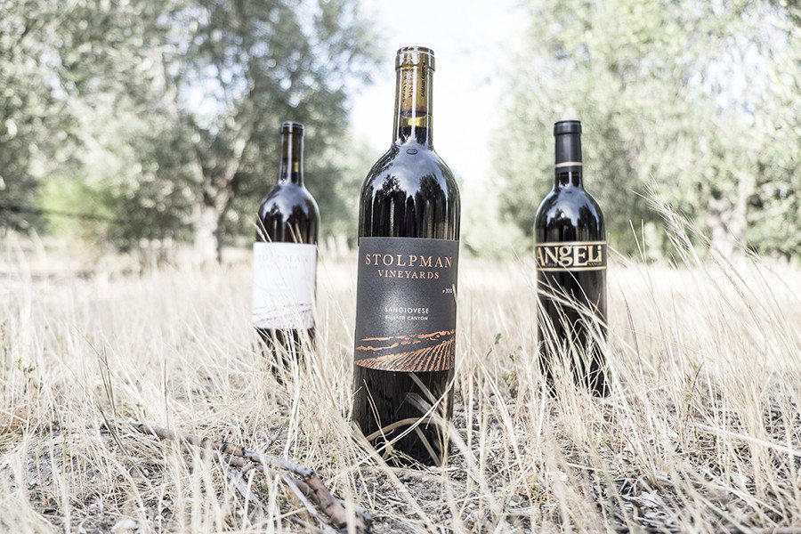 Stolpman Vineyards winery in Los Olivos, United States
