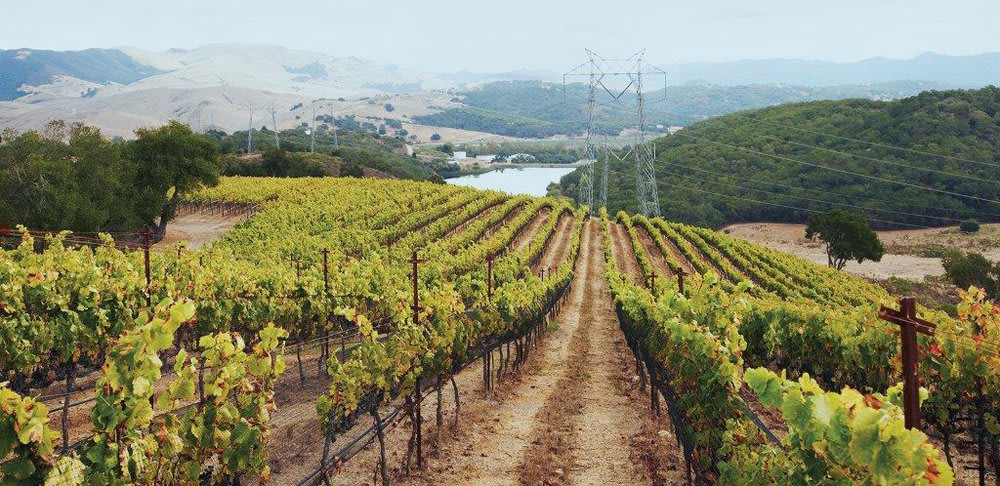 Alban Vineyards winery in Arroyo Grande, United States