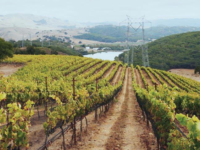 Alban Vineyards, Arroyo Grande, United States