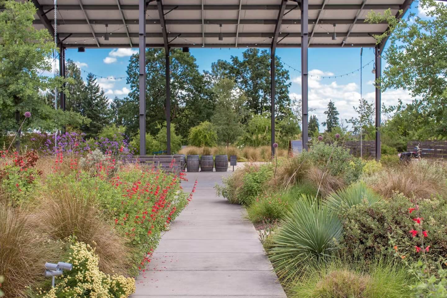 Argyle Vineyards winery in Dundee, United States