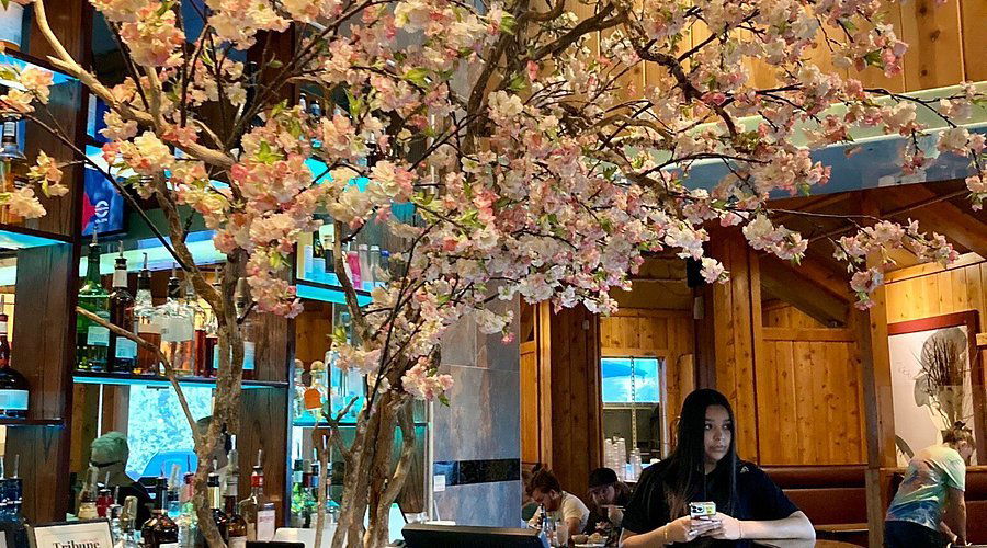 Az restaurant in Osaka, Japan