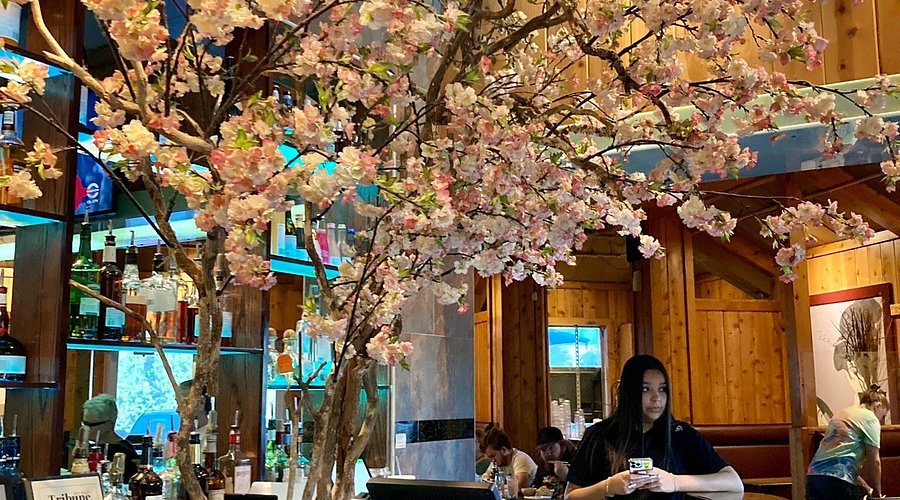 Az restaurant in Osaka, Japan