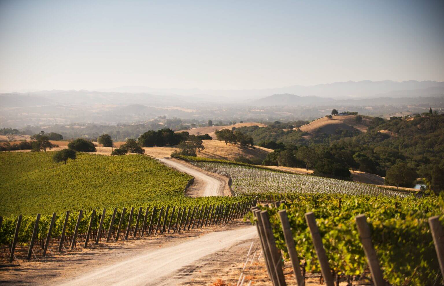 Epoch Estate Wines, Templeton, United States