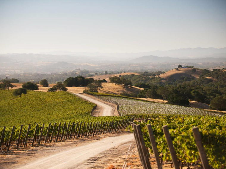 Epoch Estate Wines, Templeton, United States