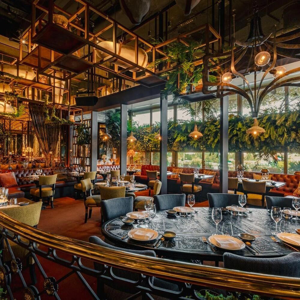 REIF Japanese Kushiyaki - Dar Wasl, Dubai, United Arab Emirates