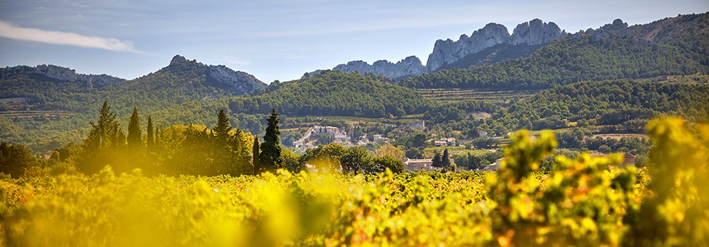 Domaine Santa Duc, Gigondas, France