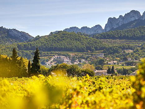 Domaine Santa Duc, Gigondas, France