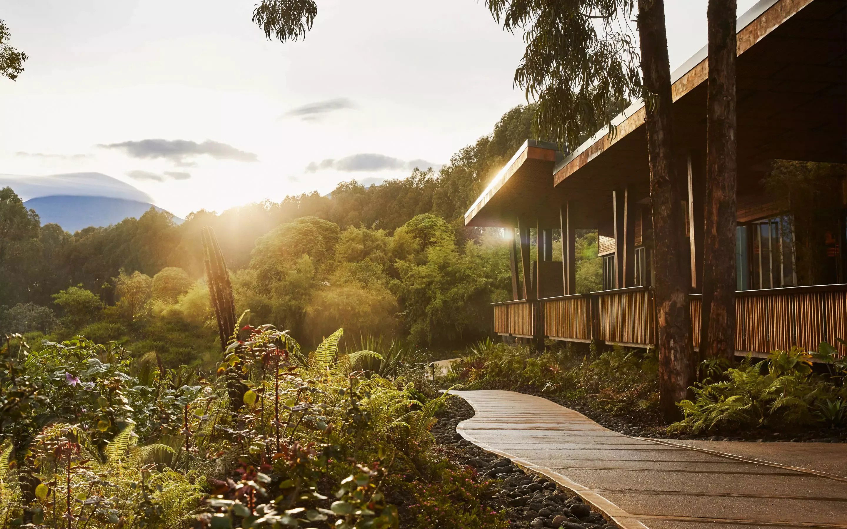 One&Only Gorilla's Nest, Hotel in Kinigi