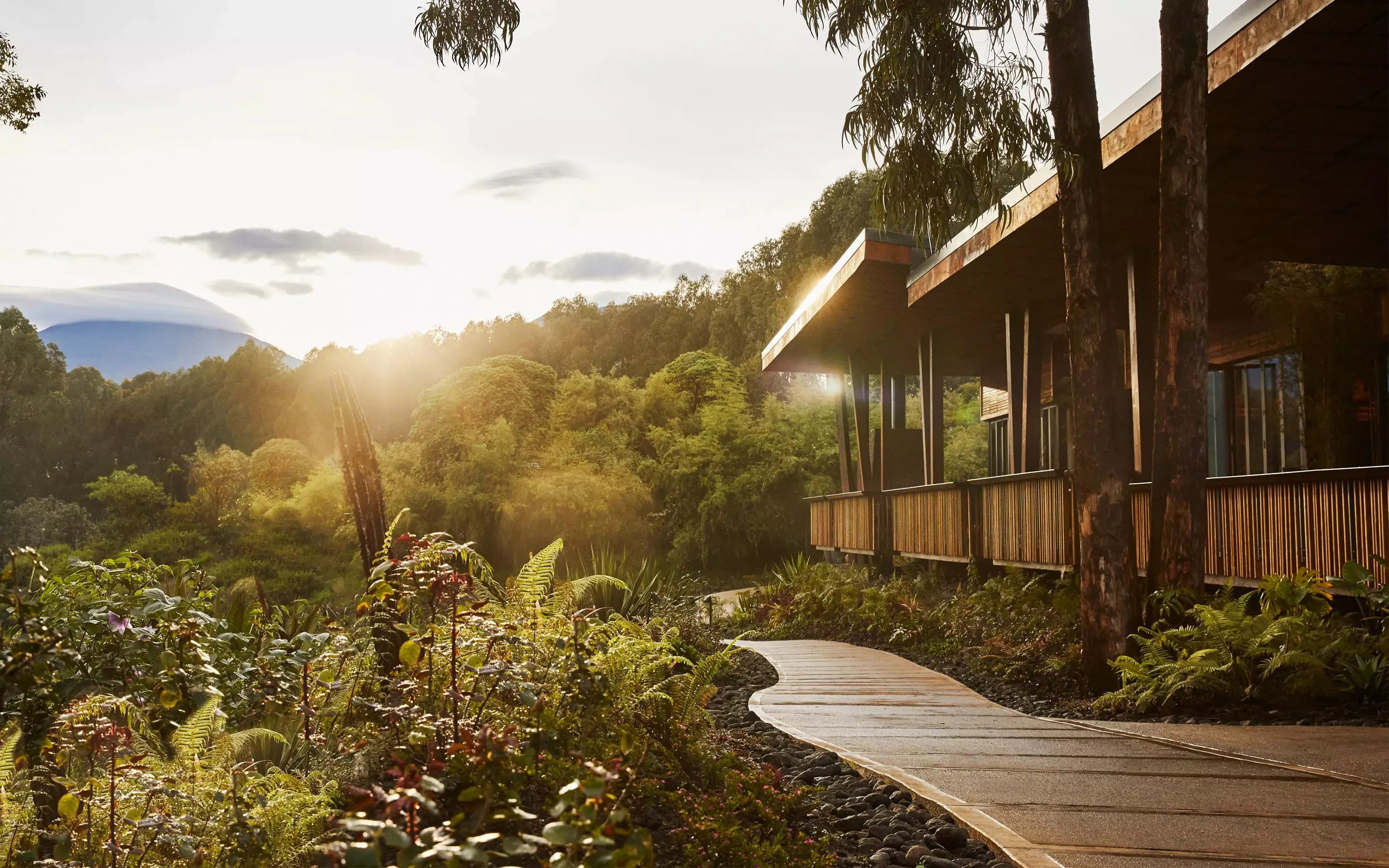 One&Only Gorilla's Nest hotel in Kinigi, Rwanda