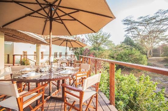 Wildebeest, Restaurant in Stoke Holy Cross