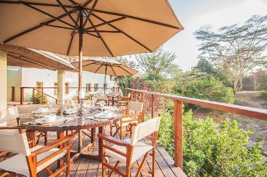 Wildebeest, Stoke Holy Cross, United Kingdom