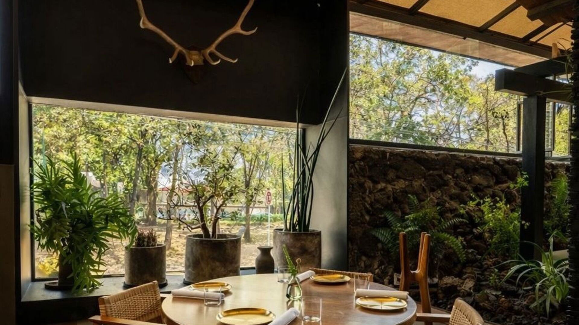 Sud 777, Restaurant in Mexico City